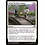 Magic: The Gathering When We Were Young (043) Near Mint