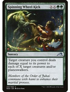 Magic: The Gathering Spinning Wheel Kick (207) Lightly Played