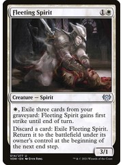 Magic: The Gathering Fleeting Spirit (014) Near Mint