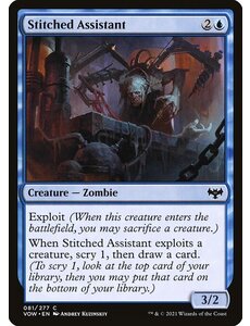 Magic: The Gathering Stitched Assistant (081) Near Mint
