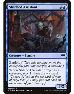 Magic: The Gathering Stitched Assistant (081) Near Mint