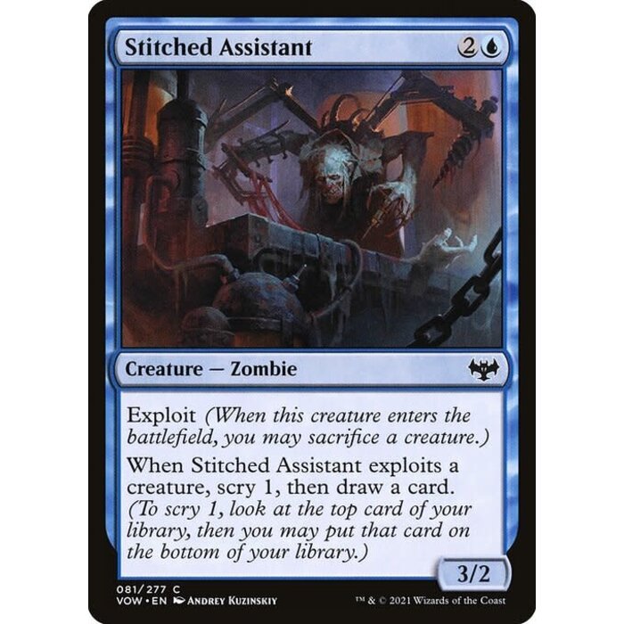Magic: The Gathering Stitched Assistant (081) Near Mint