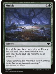 Magic: The Gathering Mulch (210) Lightly Played
