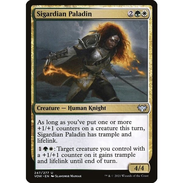 Magic: The Gathering Sigardian Paladin (247) Near Mint