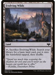 Magic: The Gathering Evolving Wilds (263) Lightly Played