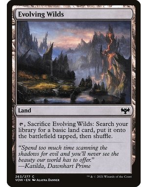 Magic: The Gathering Evolving Wilds (263) Lightly Played