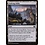 Magic: The Gathering Evolving Wilds (263) Lightly Played