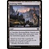 Magic: The Gathering Evolving Wilds (263) Lightly Played