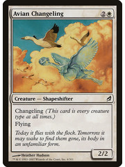 Magic: The Gathering Avian Changeling (004) Moderately Played