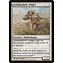 Magic: The Gathering Goldmeadow Dodger (016) Moderately Played