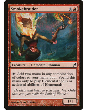 Magic: The Gathering Smokebraider (189) Moderately Played