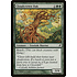 Magic: The Gathering Cloudcrown Oak (201) Moderately Played