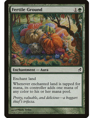 Magic: The Gathering Fertile Ground (211) Moderately Played