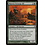 Magic: The Gathering Warren-Scourge Elf (241) Moderately Played