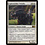 Magic: The Gathering Lightwielder Paladin (019) Lightly Played