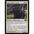 Magic: The Gathering Lightwielder Paladin (019) Lightly Played