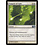 Magic: The Gathering Tempest of Light (036) Lightly Played