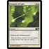 Magic: The Gathering Tempest of Light (036) Lightly Played