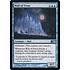 Magic: The Gathering Wall of Frost (080) Lightly Played