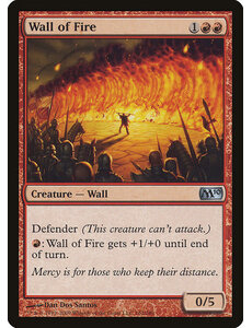 Magic: The Gathering Wall of Fire (162) Lightly Played