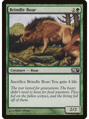 Magic: The Gathering Brindle Boar (166) Lightly Played