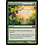 Magic: The Gathering Bountiful Harvest (166) Lightly Played Foil