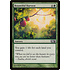 Magic: The Gathering Bountiful Harvest (166) Lightly Played Foil