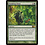 Magic: The Gathering Doubling Chant (170) Lightly Played Foil
