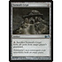 Magic: The Gathering Tormod's Crypt (219) Lightly Played