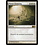 Magic: The Gathering Planar Cleansing (029) Lightly Played