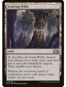 Magic: The Gathering Evolving Wilds (243) Lightly Played