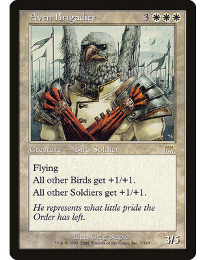Magic: The Gathering Aven Brigadier (007) Lightly Played