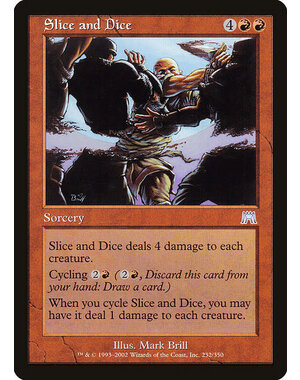 Magic: The Gathering Slice and Dice (232) Lightly Played