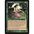 Magic: The Gathering Bloodline Shaman (249) Lightly Played