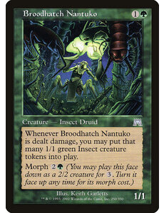 Magic: The Gathering Broodhatch Nantuko (250) Lightly Played