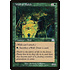 Magic: The Gathering Wall of Mulch (298) Lightly Played