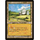 Magic: The Gathering Daru Encampment (315) Lightly Played
