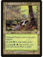 Magic: The Gathering Tranquil Thicket (326) Lightly Played