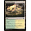 Magic: The Gathering Tranquil Expanse (180) Lightly Played