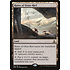 Magic: The Gathering Ruins of Oran-Rief (176) Near Mint