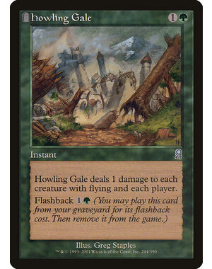 Magic: The Gathering Howling Gale (244) Lightly Played