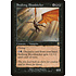 Magic: The Gathering Stalking Bloodsucker (163) Near Mint