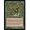 Magic: The Gathering Coiling Woodworm (103) Lightly Played