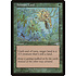 Magic: The Gathering Animate Land (101) Lightly Played