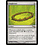 Magic: The Gathering Tangleroot (259) Moderately Played