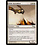Magic: The Gathering Slith Ascendant (023) Heavily Played
