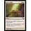 Magic: The Gathering Altar's Light (001) Lightly Played