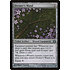 Magic: The Gathering Diviner's Wand (142) Moderately Played