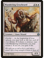 Magic: The Gathering Wandering Graybeard (027) Moderately Played