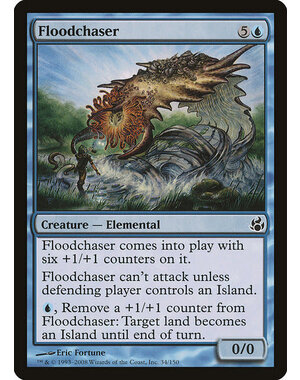 Magic: The Gathering Floodchaser (034) Moderately Played